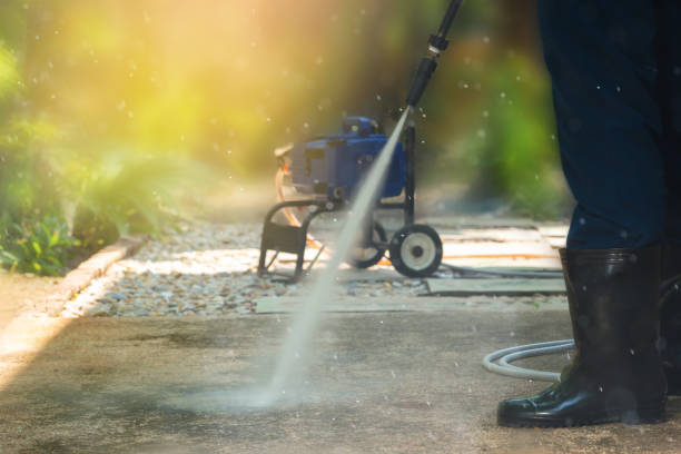 Animal Enclosure Cleaning in Cumberland, MD